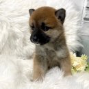 균영농장 이미지