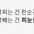 다모아사우나 이미지