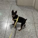 마싯는끼니 | 낼 일은 낼 슬퍼하는 걸로!! 오늘은 해피 해피~~