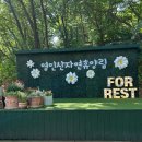 아산 아이와 가볼만한 곳 추천! 영인산수목원 「숲을 담다 For 포레스트」 무료 숲체험 후기🌿