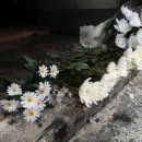 시민여관 이미지