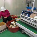 오방농장 이미지