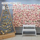 동부당구장 | 🏨"제주 오션뷰 숙소 추천 | '봄 그리고 가을 리조트' 장단점 총정리 (성산일출봉/우도 근처)"