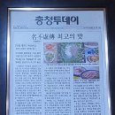 내덕자연시장 이미지