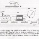 수근관증후군(Wrist and Hand Pain) 2. 이미지