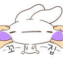 호텔플레이 이미지