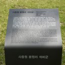 사옹원 분원리 석비군 이미지