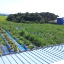 초성 농장 이미지