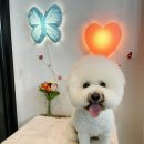 연두살롱 이미지