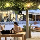 TJ게스트하우스 | 신행일기 1탄 | 발리 길리섬, 유스파, 코카나, 발리밸리