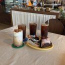 스마일뽑기샵 | 1월 여행 : 포항 (ft. 물회맛집/소품샵추천/과일타르트 카페몬드/오션뷰숙소/영일대 가정초밥/돈카츠...