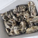 보령사 | 신선한 보령천북굴 택배로 받아 요리해먹기_깐돌네 내돈내산
