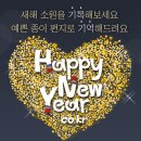 주식회사 소금쟁이 이미지