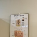 탈모케어존부산 이미지