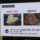 (주) 아람미디어 이미지