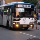 동양교통(주) 네이버블로그