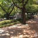 중구 누리길(제2코스) 티스토리