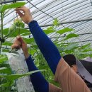 병술농장 이미지