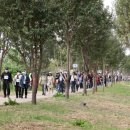 구립용산장애인복지관 이미지