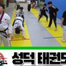 성덕태권도 이미지