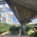 로토드