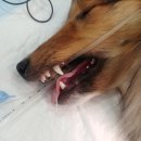 아쿠아동물병원 이미지