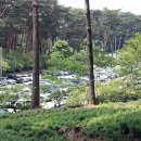 안면도자연휴양림 이미지