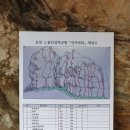 인어루트