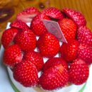 북침산네거리 | [대구 빵집] 침산동 베이커리 몬테비안코 케이크 후기🎂(내돈내산)