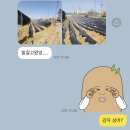 명준농장 이미지