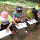 소호 숲 이미지