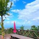 어달OTP펜션 이미지