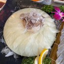 통통회 | [서울 오목교역 맛집] 통통한오징어 목동점 / 오징어회+도다리회+매운탕 세트 후기