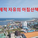 까망숙녀복