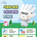 양양어린이집 이미지