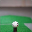 떼제베 골프연습장 이미지