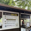 통나무집 | 내돈내산 춘천 통나무집닭갈비 솔직후기✨