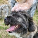 살랑살랑 이미지