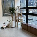 베테랑병원 이미지