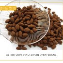 아망드
