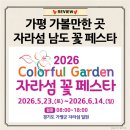 자라섬 주차장 | [가평] 가볼만한 곳 자라섬 남도 꽃 페스타 축제 2026 평일 후기 (주차장)