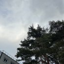 위양448 | 밀양 위양지 대형 카페 와플 맛집 [위양448] 매장 방문 후기
