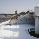 홍어한마리 이미지