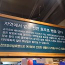 슈가로프 베이커리