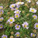 성산1길 이미지