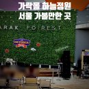 짱도매청과물 | 가락시장 가락몰 하늘정원 루프탑 미식야행축제 구경기