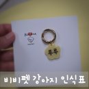 비비펫 강아지 인식표 커스텀 각인으로 특별함을 더했어요