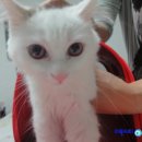 마린숲 동물병원 이미지