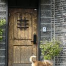 빵귤맨숀 이미지