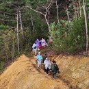 성안모텔 | [경북 영덕] 어게인 블루로드 5코스 축산항에서 대소산 봉수대에 올라 괴시리 전통마을 영해면까지